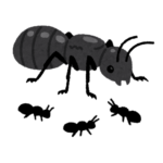 【方言】「あいこー」の意味と例文