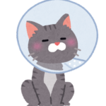 【方言】「あずかる」の意味と例文