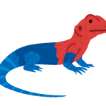 【方言】「かがみっちょう」の意味と例文